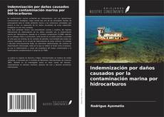 Capa do livro de Indemnización por daños causados por la contaminación marina por hidrocarburos 