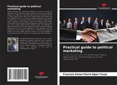 Practical guide to political marketing的封面