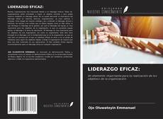 LIDERAZGO EFICAZ: kitap kapağı