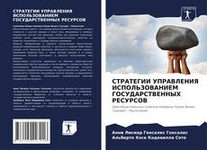 Bookcover of СТРАТЕГИИ УПРАВЛЕНИЯ ИСПОЛЬЗОВАНИЕМ ГОСУДАРСТВЕННЫХ РЕСУРСОВ