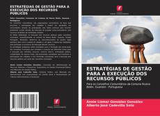 ESTRATÉGIAS DE GESTÃO PARA A EXECUÇÃO DOS RECURSOS PÚBLICOS kitap kapağı