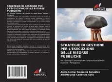 Couverture de STRATEGIE DI GESTIONE PER L'ESECUZIONE DELLE RISORSE PUBBLICHE