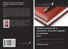 Enfoque correcto de la estimación, licitación y gestión de contratos Vol.1 kitap kapağı