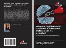 Buchcover von Indagine sugli incidenti sul lavoro e le malattie professionali nei lavoratori