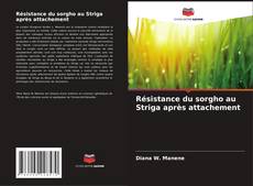 Bookcover of Résistance du sorgho au Striga après attachement