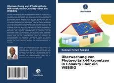 Portada del libro de Überwachung von Photovoltaik-Mikronetzen in Conakry über ein WEBSIG