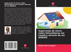 Supervisão de micro-redes fotovoltaicas em Conakry através de um WEBSIG kitap kapağı