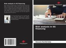 Risk analysis in SG financing的封面