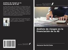 Couverture de Análisis de riesgos en la financiación de la AE