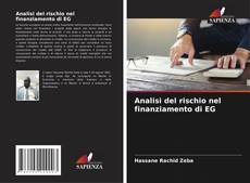 Buchcover von Analisi del rischio nel finanziamento di EG