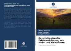 Borítókép a  Determinanten der Existenzsicherung von Klein- und Kleinbauern - hoz