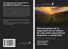 Couverture de Determinantes de la seguridad de los medios de vida entre agricultores pequeños y marginales