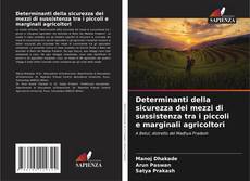 Copertina di Determinanti della sicurezza dei mezzi di sussistenza tra i piccoli e marginali agricoltori