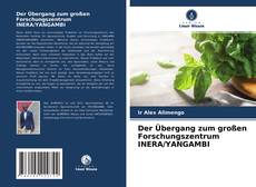 Buchcover von Der Übergang zum großen Forschungszentrum INERA/YANGAMBI