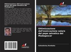 Couverture de Ottimizzazione dell'essiccazione solare del pepe selvatico del Madagascar