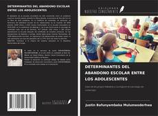 DETERMINANTES DEL ABANDONO ESCOLAR ENTRE LOS ADOLESCENTES kitap kapağı