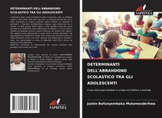 Buchcover von DETERMINANTI DELL'ABBANDONO SCOLASTICO TRA GLI ADOLESCENTI
