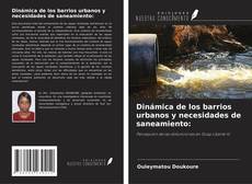 Buchcover von Dinámica de los barrios urbanos y necesidades de saneamiento: