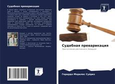 Bookcover of Судебная преварикация