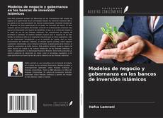 Bookcover of Modelos de negocio y gobernanza en los bancos de inversión islámicos