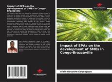 Impact of EPAs on the development of SMEs in Congo-Brazzaville kitap kapağı