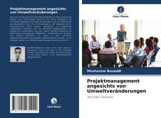 Projektmanagement angesichts von Umweltveränderungen的封面
