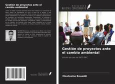 Gestión de proyectos ante el cambio ambiental的封面