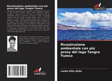 Portada del libro de Ricostruzione ambientale con più proxy del lago Tangra Yumco