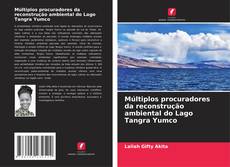 Múltiplos procuradores da reconstrução ambiental do Lago Tangra Yumco kitap kapağı