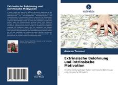 Capa do livro de Extrinsische Belohnung und intrinsische Motivation 