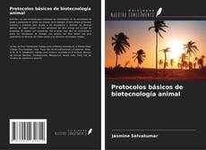 Buchcover von Protocolos básicos de biotecnología animal