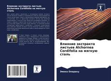Bookcover of Влияние экстракта листьев Alchornea Cordifolia на мягкую сталь