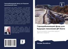 Bookcover of Горнодобывающий фонд для будущих поколений ДР Конго