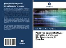 Positives administratives Schweigen und seine Nichtanwendung in Ecuador kitap kapağı