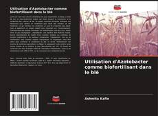 Borítókép a  Utilisation d'Azotobacter comme biofertilisant dans le blé - hoz