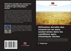 Bookcover of Utilisation durable des ressources en eaux souterraines dans les conditions agro-climatiques sèches