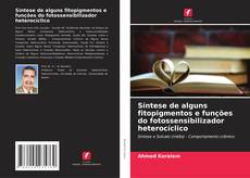 Capa do livro de Síntese de alguns fitopigmentos e funções do fotossensibilizador heterocíclico 