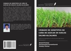 Bookcover of CRIBADO DE GENOTIPOS DE CAÑA DE AZÚCAR EN SUELOS SALINO-ALCALINOS