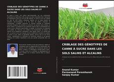 Borítókép a  CRIBLAGE DES GÉNOTYPES DE CANNE À SUCRE DANS LES SOLS SALINS ET ALCALINS - hoz