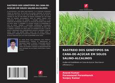 Обложка RASTREIO DOS GENÓTIPOS DA CANA-DE-AÇÚCAR EM SOLOS SALINO-ALCALINOS