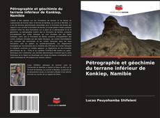 Copertina di Pétrographie et géochimie du terrane inférieur de Konkiep, Namibie