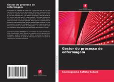 Gestor do processo de enfermagem的封面