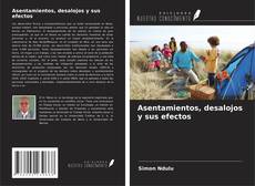 Copertina di Asentamientos, desalojos y sus efectos