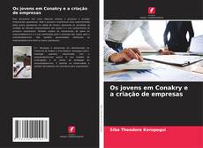 Buchcover von Os jovens em Conakry e a criação de empresas