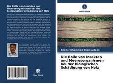 Couverture de Die Rolle von Insekten und Meeresorganismen bei der biologischen Schädigung von Holz