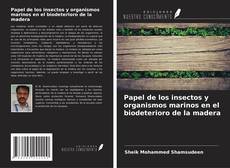 Papel de los insectos y organismos marinos en el biodeterioro de la madera kitap kapağı