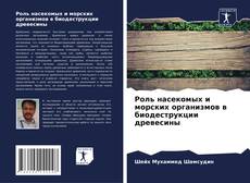 Buchcover von Роль насекомых и морских организмов в биодеструкции древесины