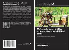 Mototaxis en el tráfico urbano: Responsabilidad civil的封面