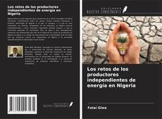 Copertina di Los retos de los productores independientes de energía en Nigeria