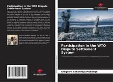 Participation in the WTO Dispute Settlement System的封面